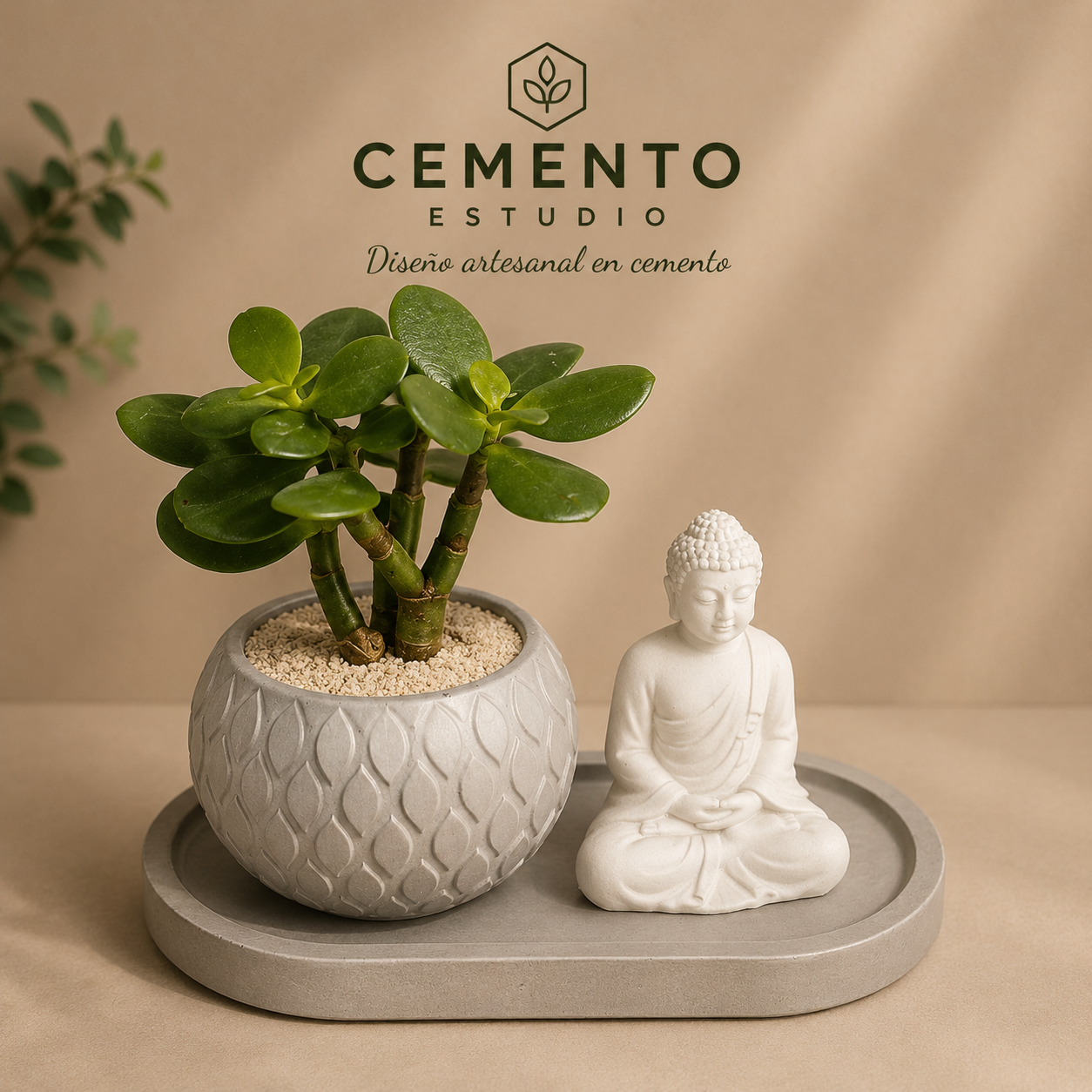 Set trio zen con planta