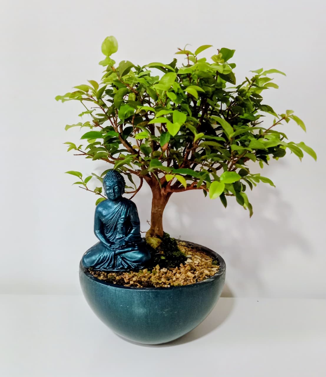 Set Zen